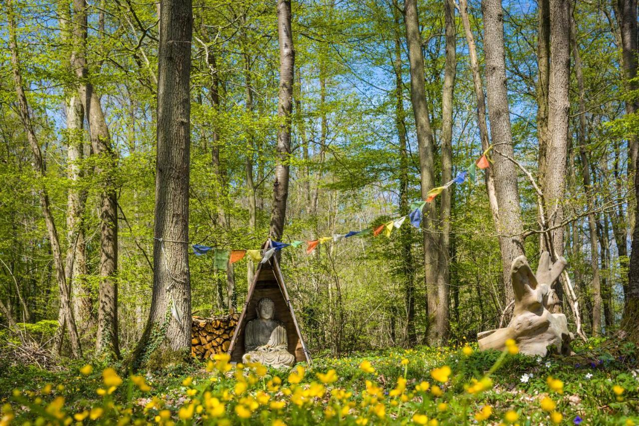 Gites Du Bois Des Perruches Saint-Vincent-des-Bois Bagian luar foto