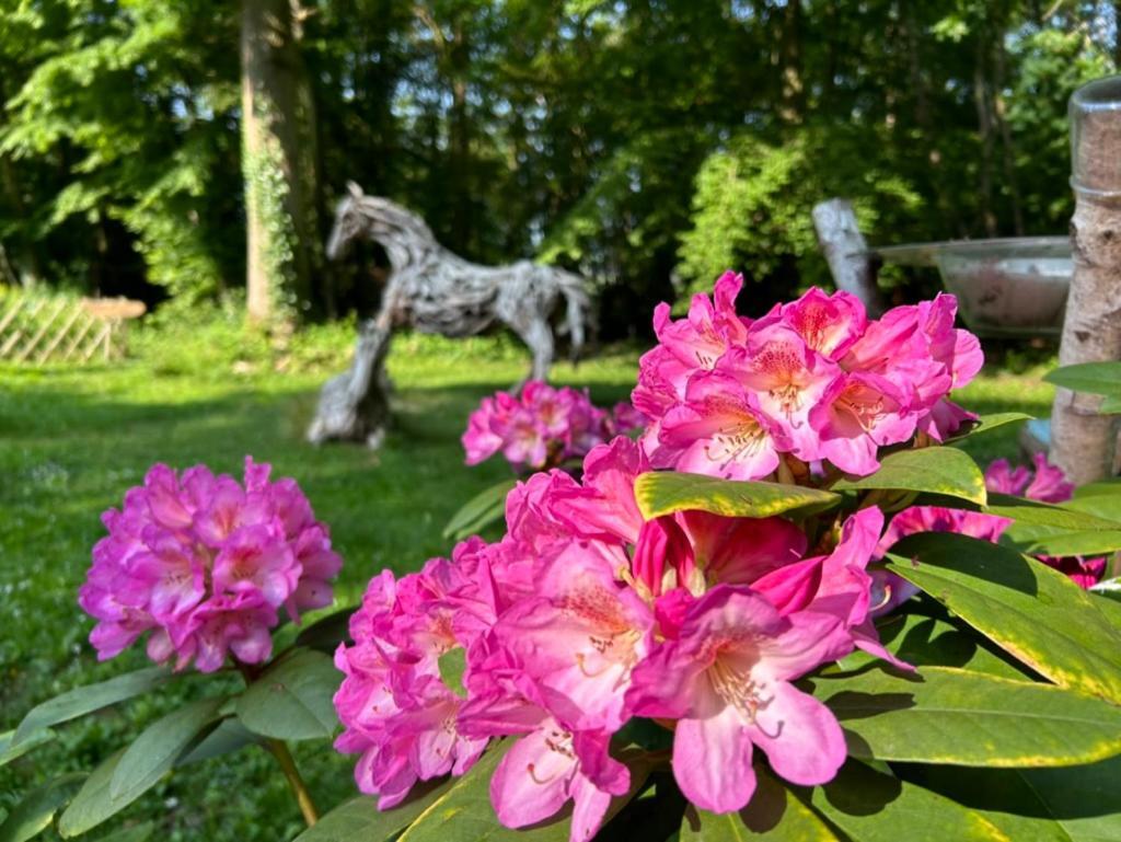 Gites Du Bois Des Perruches Saint-Vincent-des-Bois Bagian luar foto