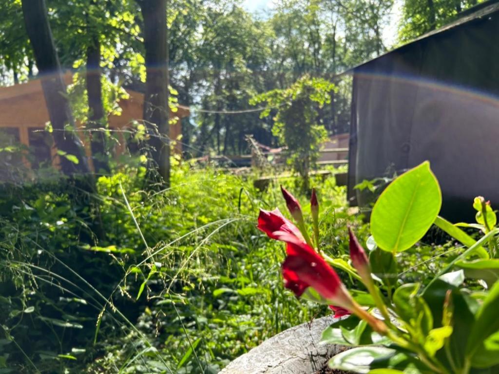 Gites Du Bois Des Perruches Saint-Vincent-des-Bois Bagian luar foto