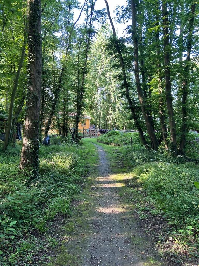 Gites Du Bois Des Perruches Saint-Vincent-des-Bois Bagian luar foto